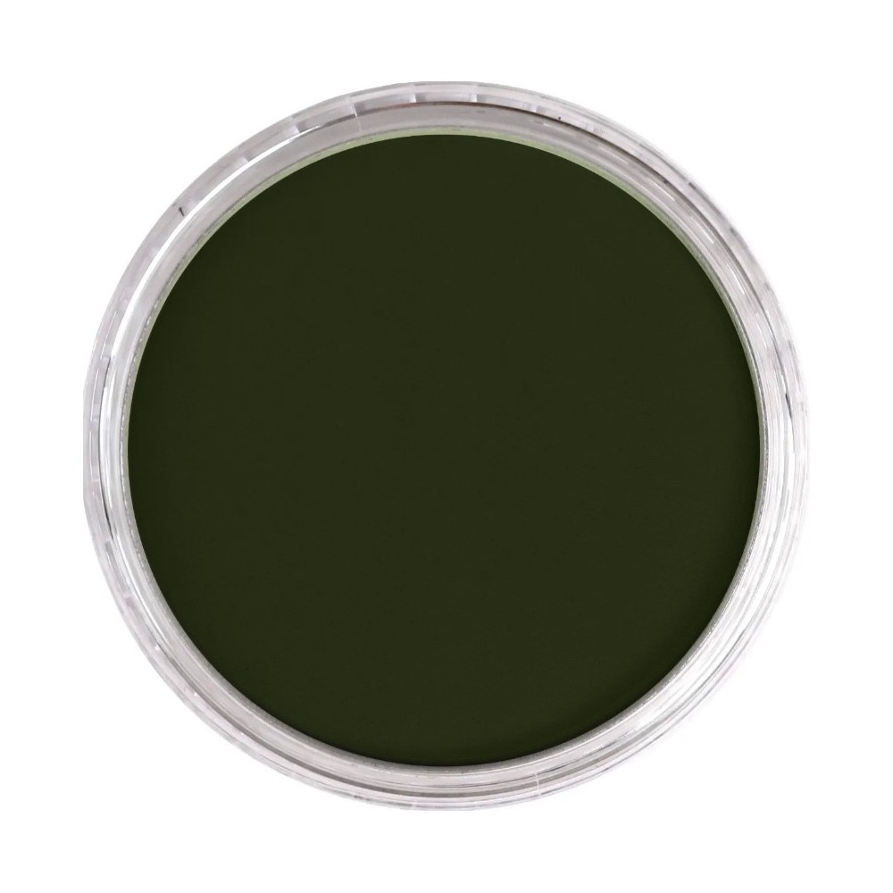 Ultra Soft PanPastel - 660.3 Chromium Oxide Green Shade