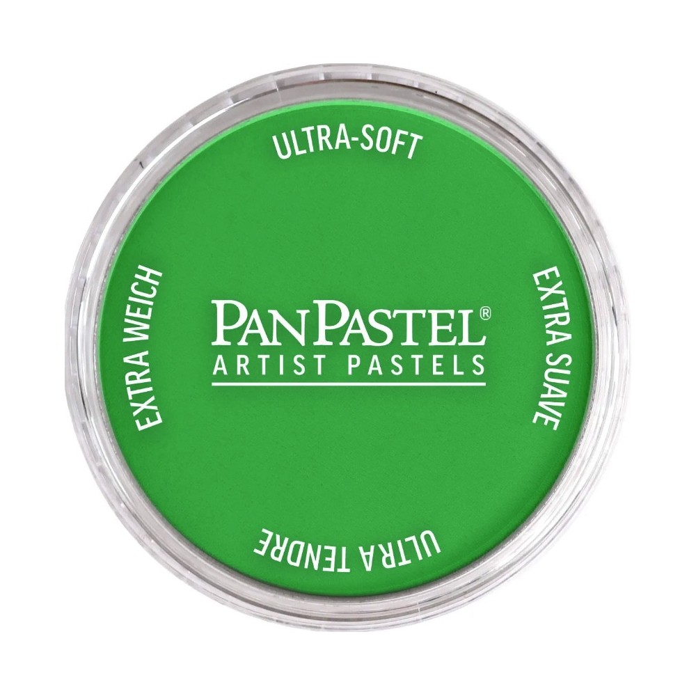 Ultra Soft PanPastel - 640.5 Permanent Green
