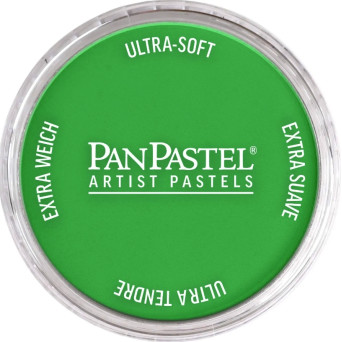Pastela sucha PanPastel - 640.5 Permanent Green