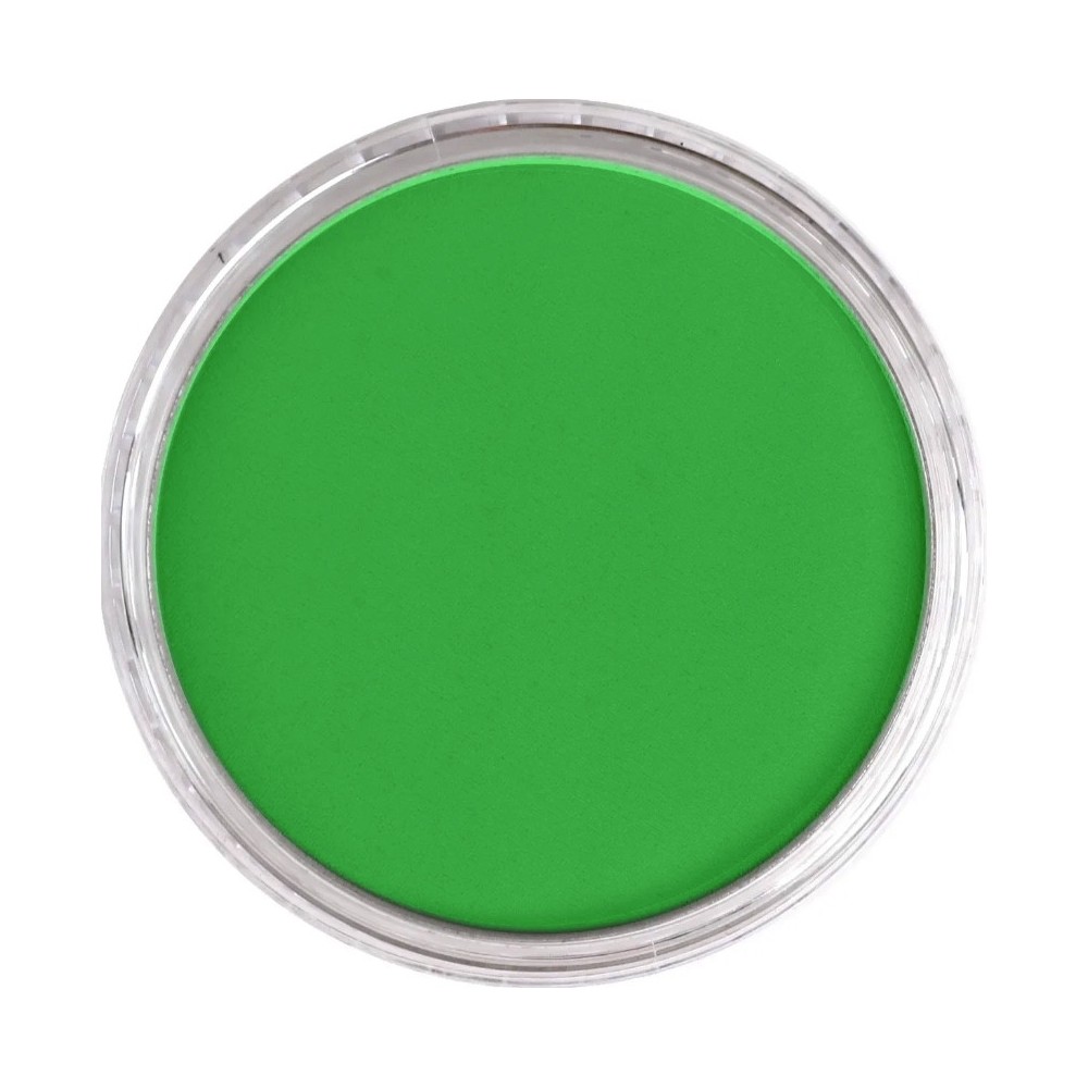 Ultra Soft PanPastel - 640.5 Permanent Green