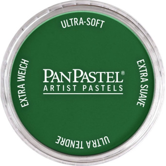 Pastela sucha PanPastel - 640.3 Permanent Green Shade