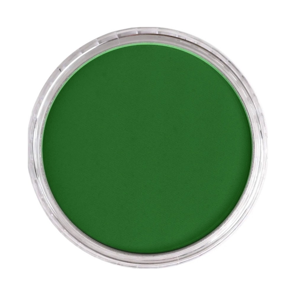 Ultra Soft PanPastel - 640.3 Permanent Green Shade