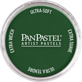 Pastela sucha PanPastel - 640.1 Permanent Green Extra Dark