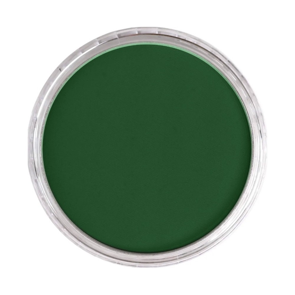 Ultra Soft PanPastel - 640.1 Permanent Green Extra Dark
