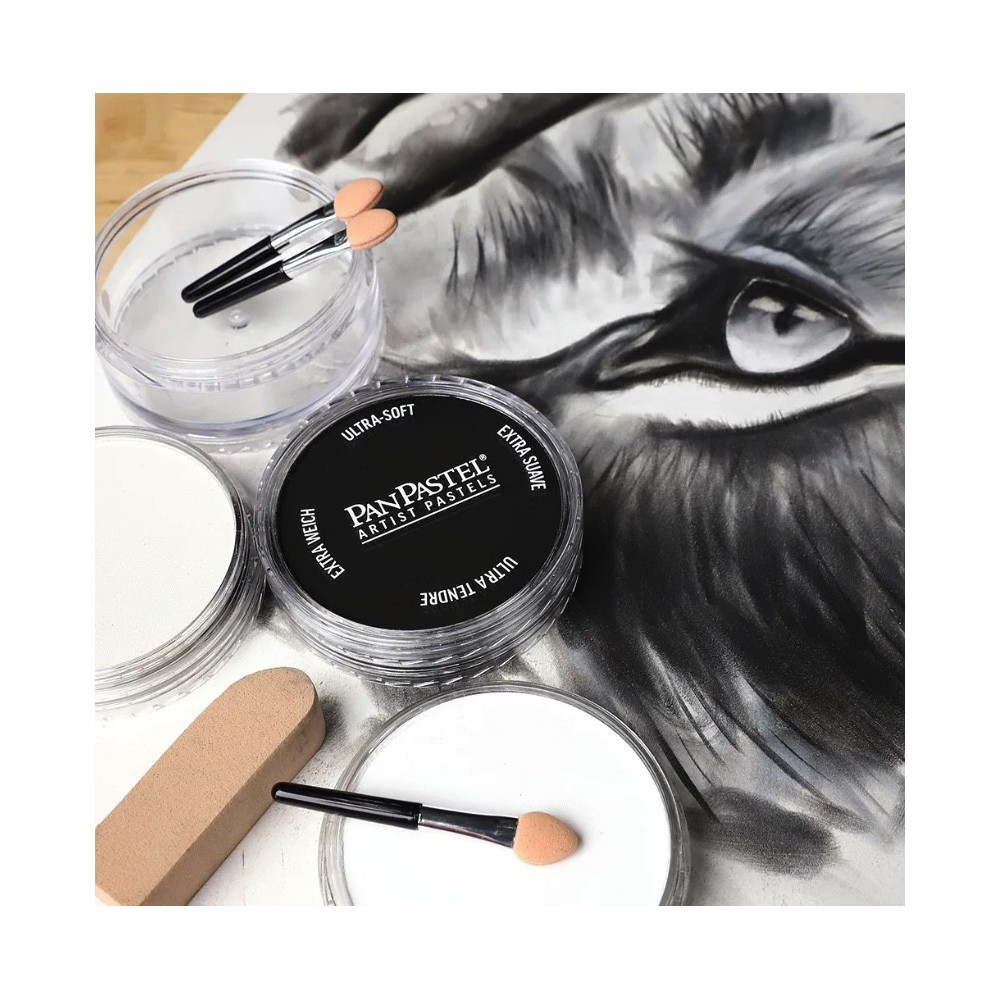 Set of Ultra Soft PanPastels Blending & Shading - 3 colors