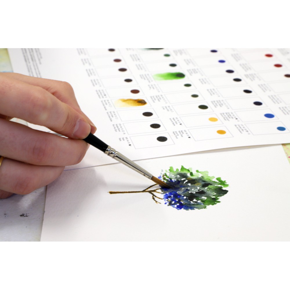 Professional Watercolour Dot Card Color Chart - Winsor & Newton - 109 colors