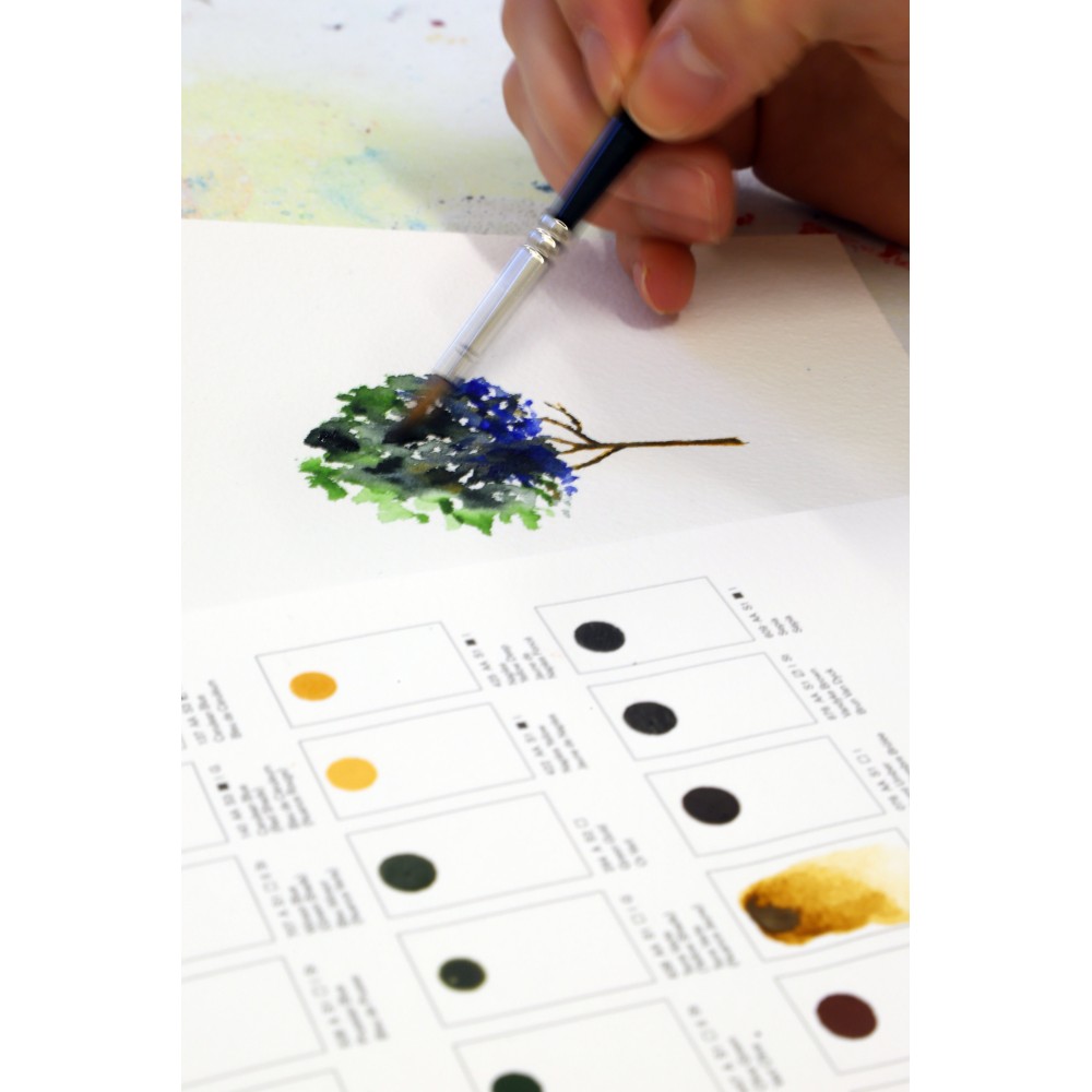 Professional Watercolour Dot Card Color Chart - Winsor & Newton - 109 colors