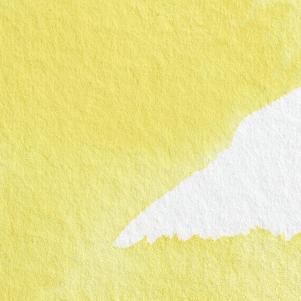Professional Watercolor half-pan - Winsor & Newton - Bismuth Yellow