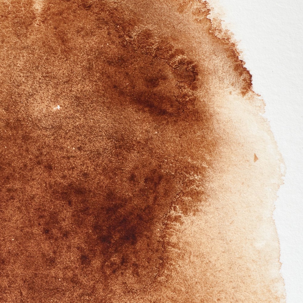 Farba akwarelowa Professional w półkostce - Winsor & Newton - Burnt Umber