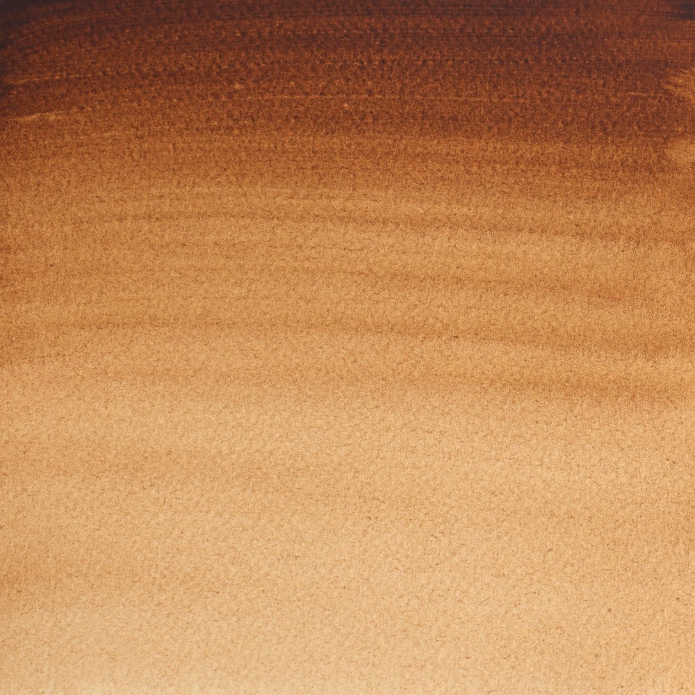 Professional Watercolor half-pan - Winsor & Newton - Burnt Umber