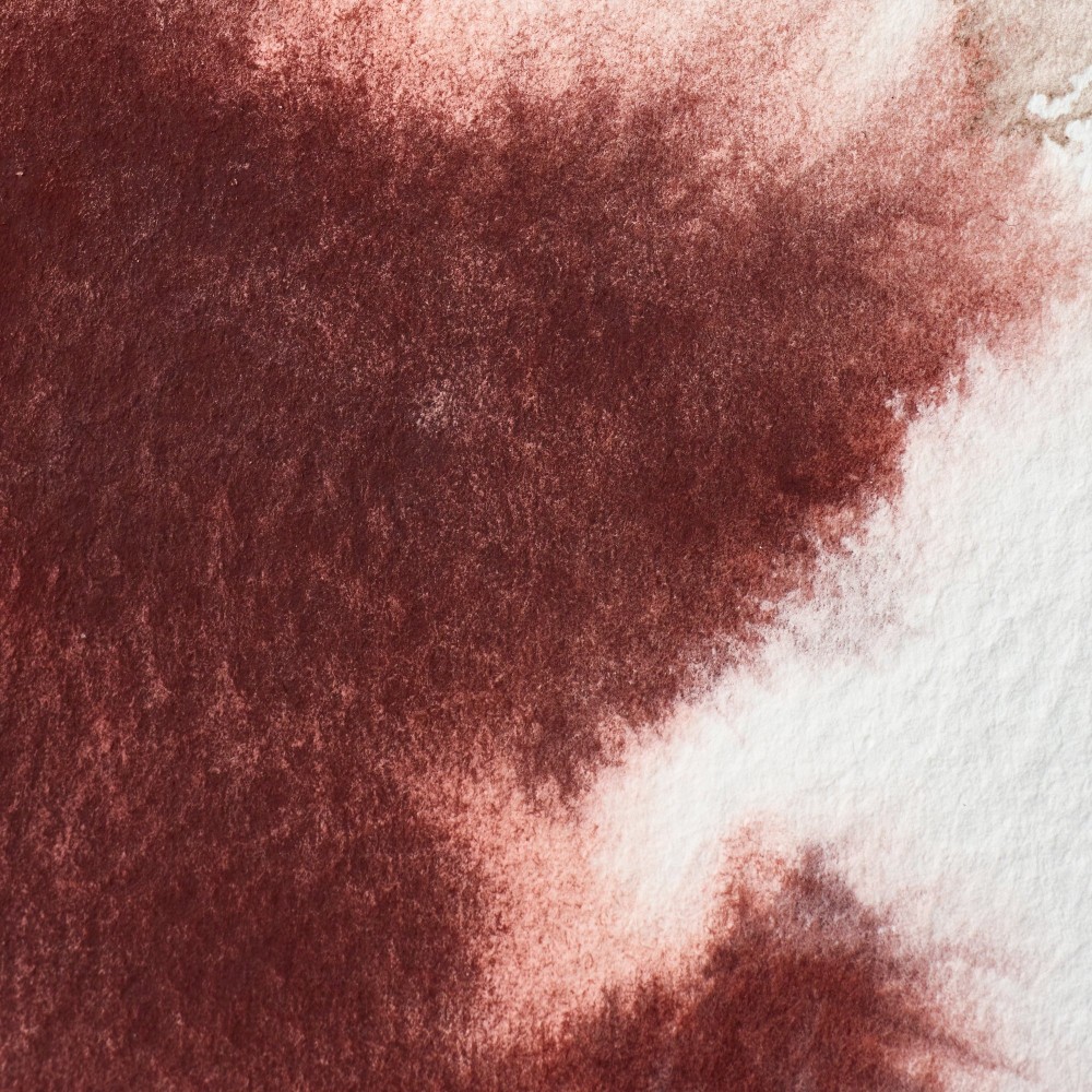 Professional Watercolor half-pan - Winsor & Newton - Caput Mortuum Violet