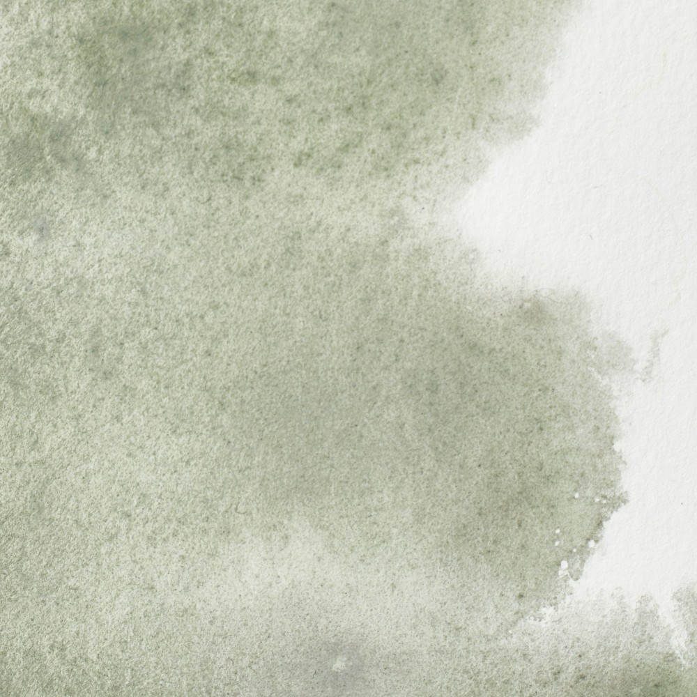 Professional Watercolor half-pan - Winsor & Newton - Davy’s Grey