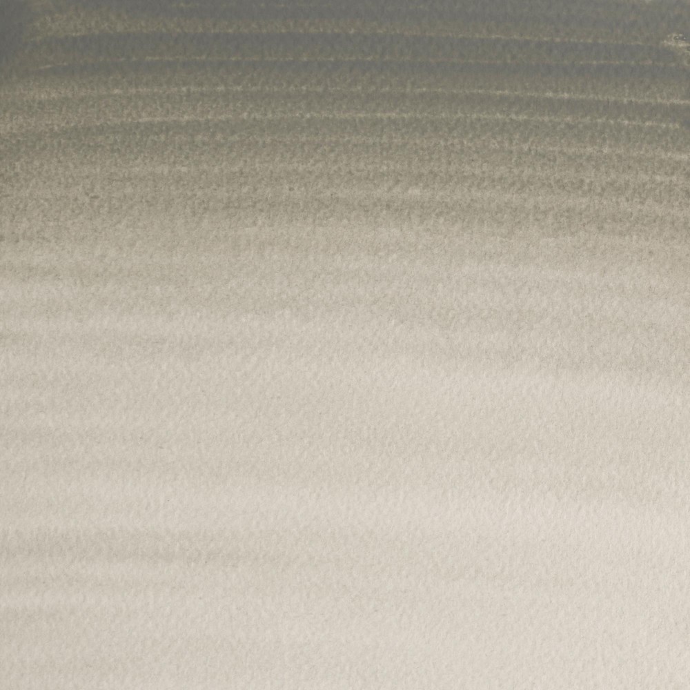Farba akwarelowa Professional w półkostce - Winsor & Newton - Davy’s Grey