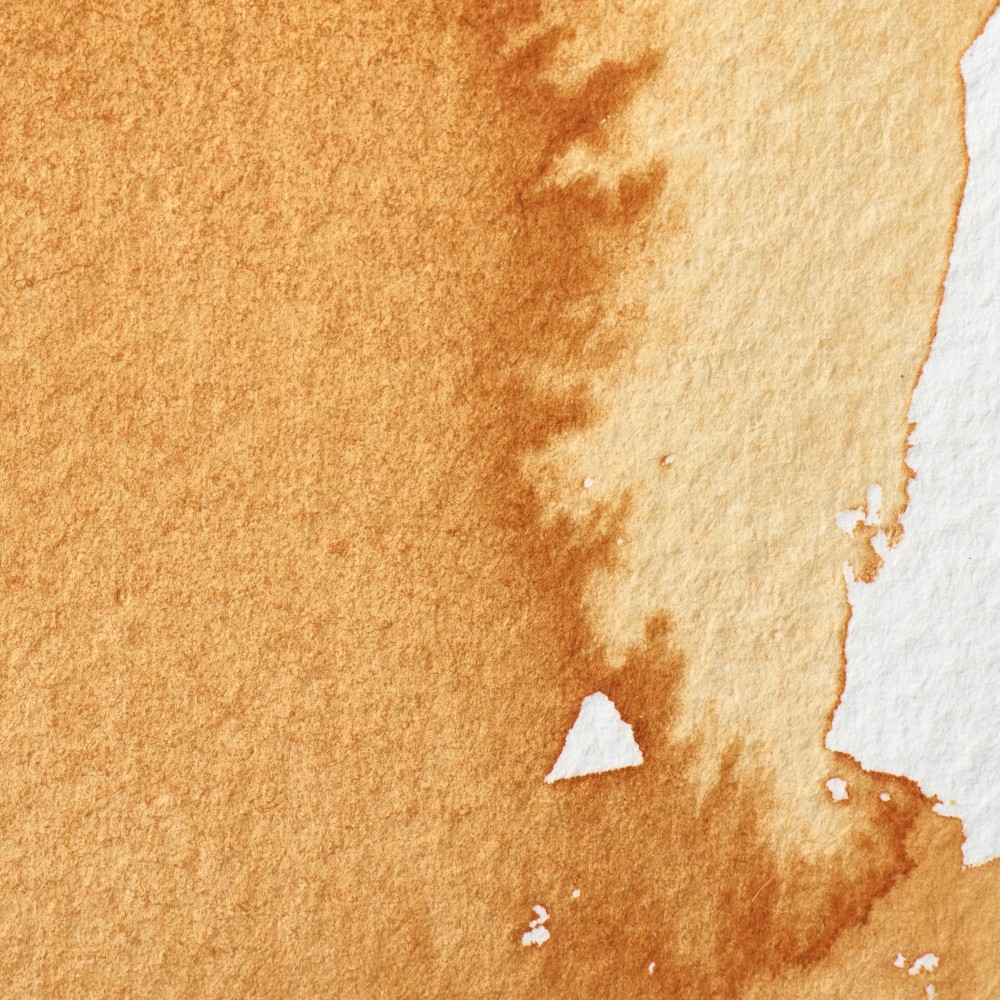 Professional Watercolor half-pan - Winsor & Newton - Gold Ochre