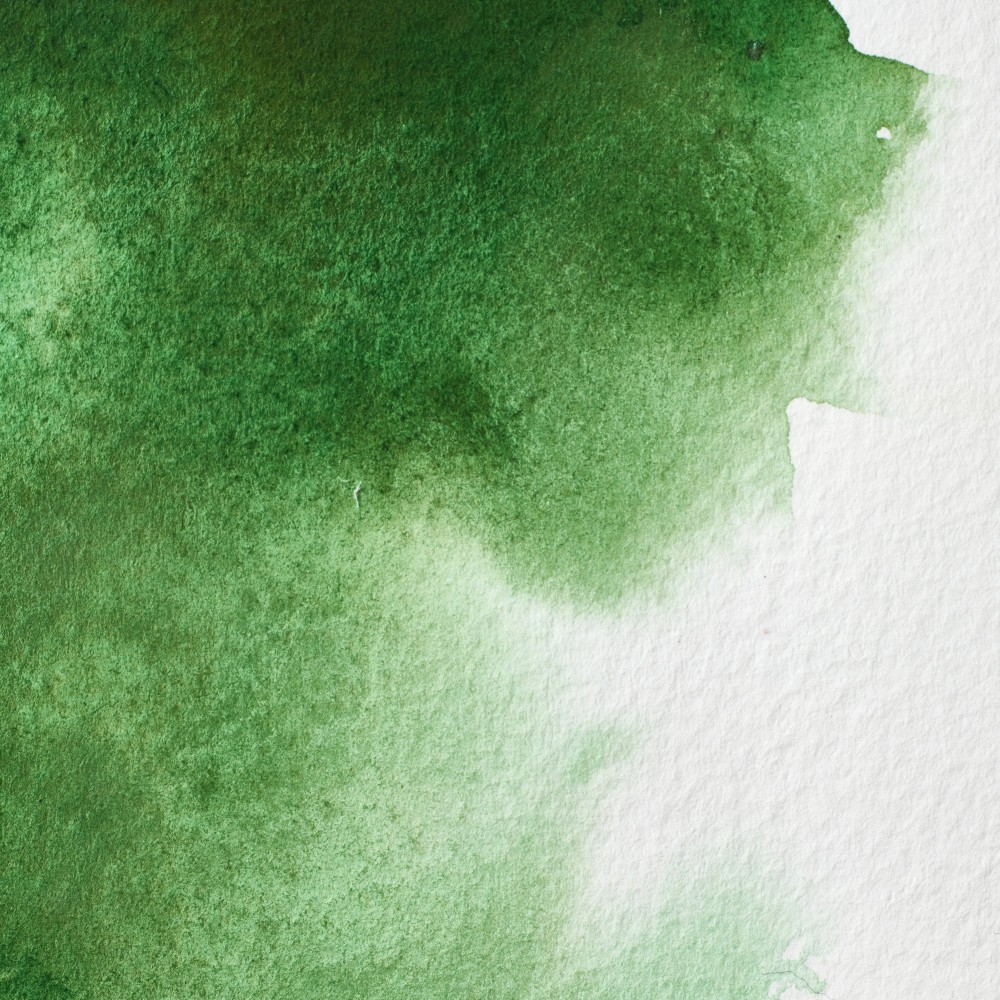 Farba akwarelowa Professional w półkostce - Winsor & Newton - Hooker’s Green