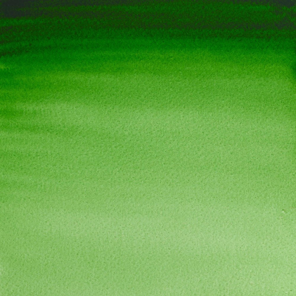 Farba akwarelowa Professional w półkostce - Winsor & Newton - Hooker’s Green