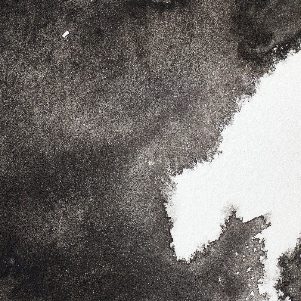 Farba akwarelowa Professional w półkostce - Winsor & Newton - Ivory Black