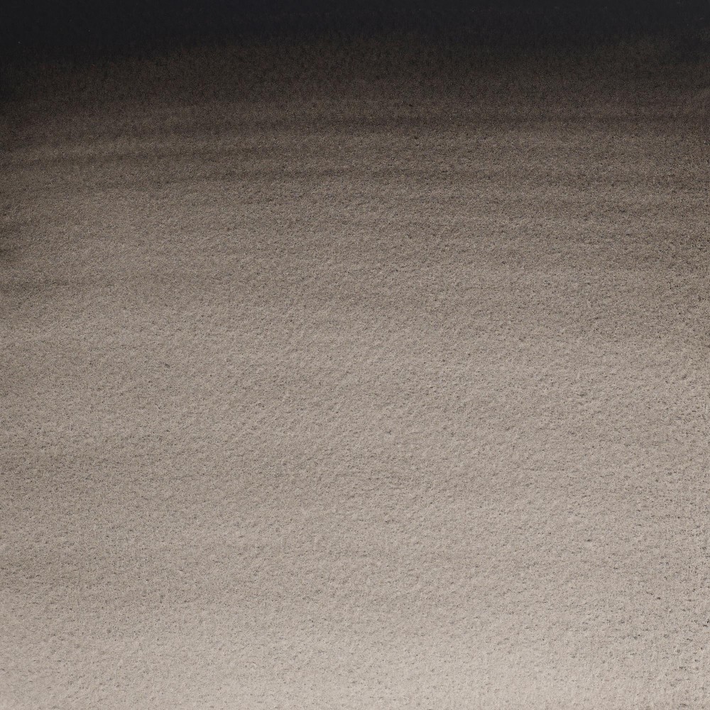 Farba akwarelowa Professional w półkostce - Winsor & Newton - Ivory Black