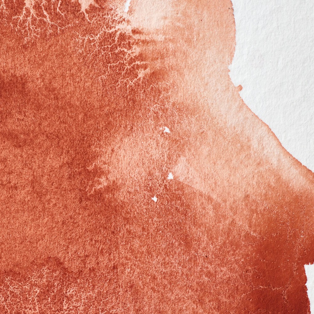 Professional Watercolor half-pan - Winsor & Newton - Light Red
