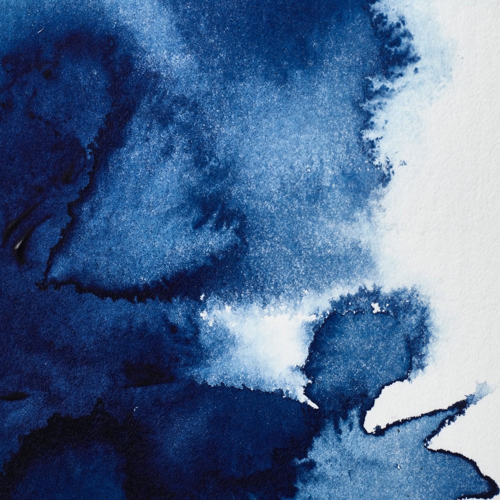 Farba akwarelowa Professional w półkostce - Winsor & Newton - Prussian Blue