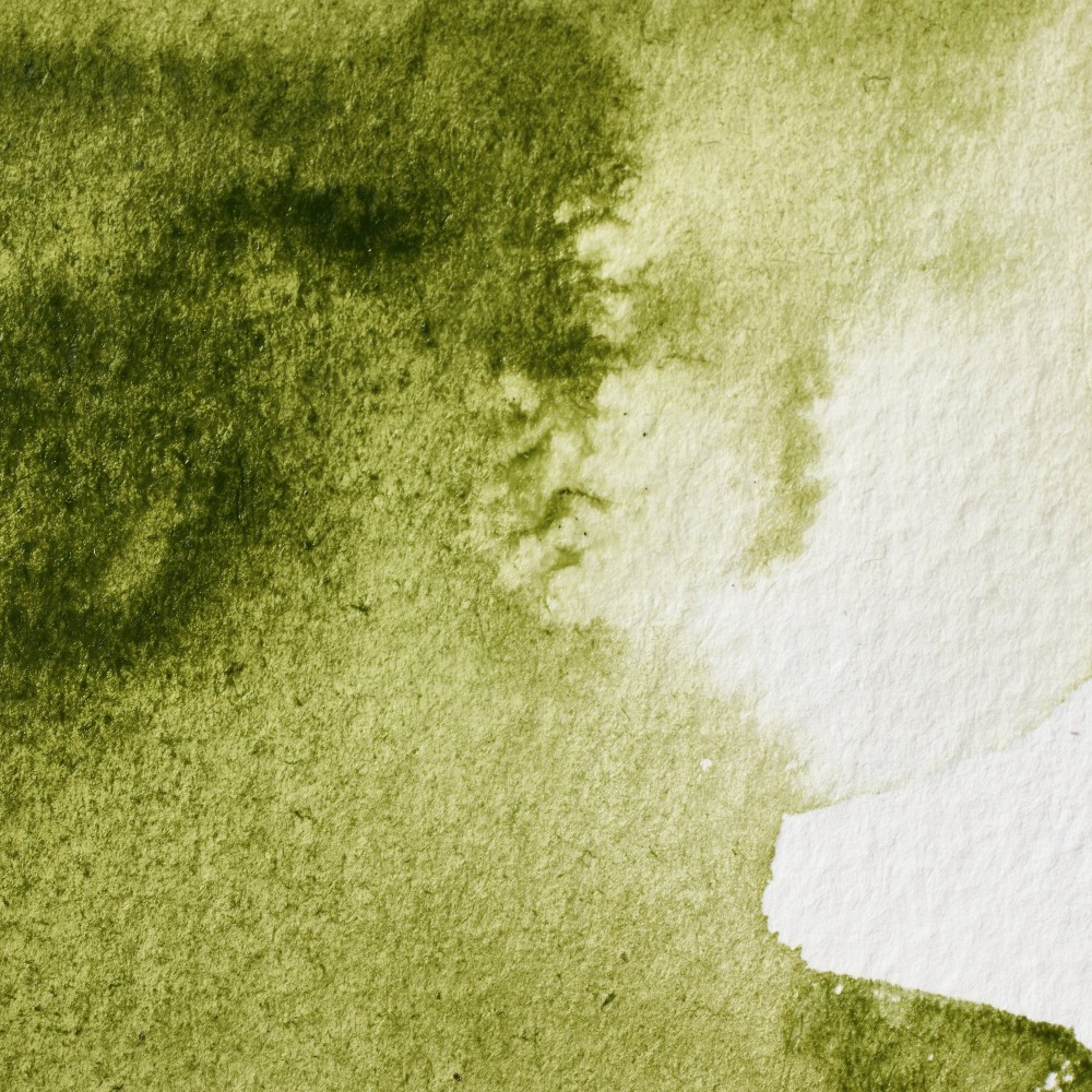 Farba akwarelowa Professional w półkostce - Winsor & Newton - Olive Green