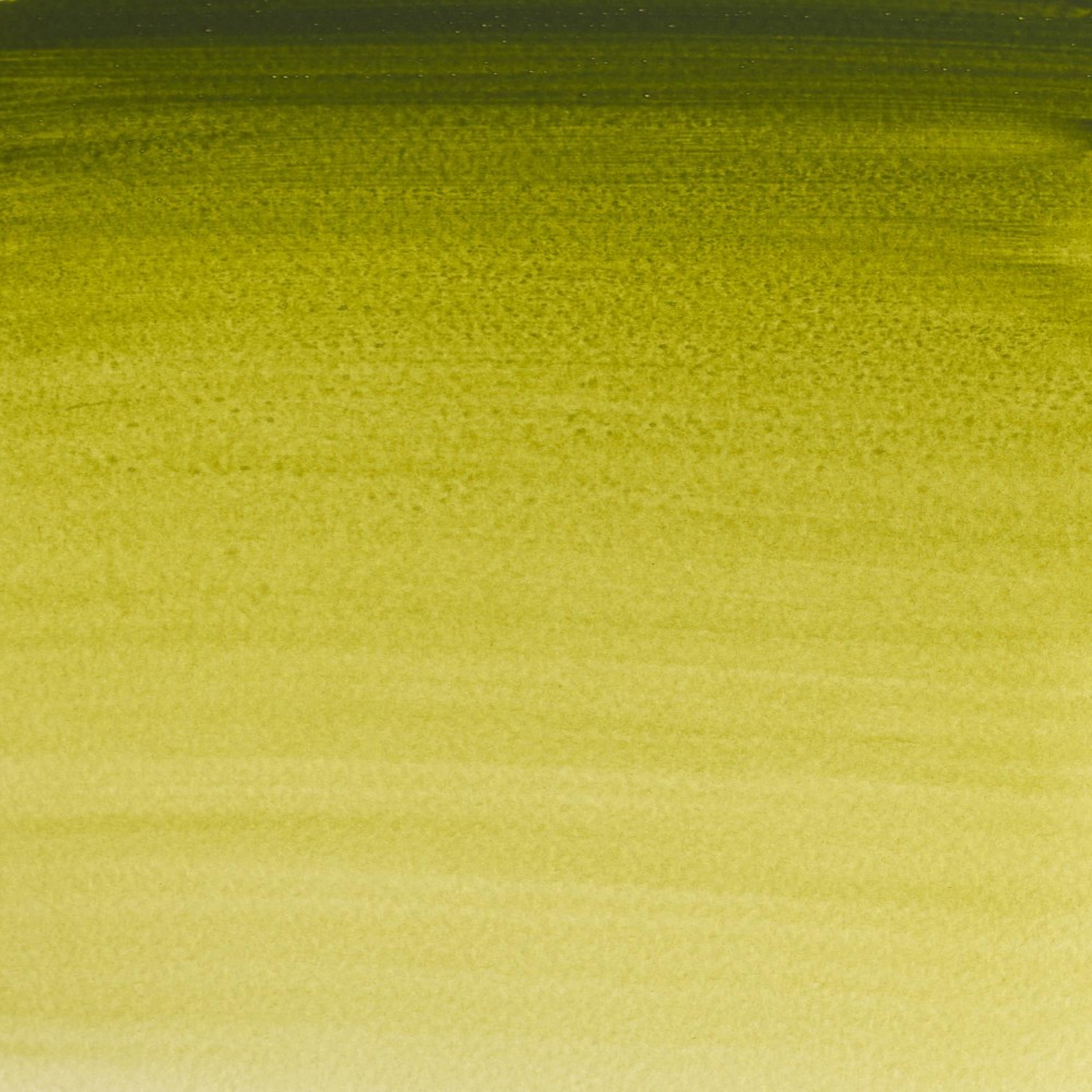 Professional Watercolor half-pan - Winsor & Newton - Olive Green