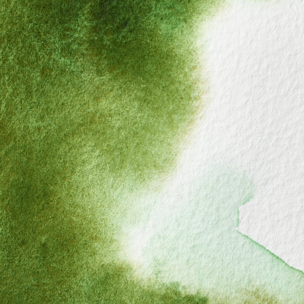 Professional Watercolor half-pan - Winsor & Newton - Permanent Sap Green