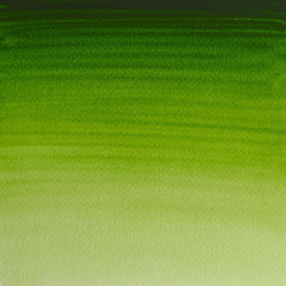 Professional Watercolor half-pan - Winsor & Newton - Permanent Sap Green