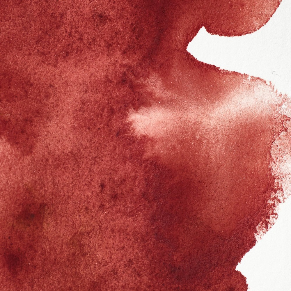 Professional Watercolor half-pan - Winsor & Newton - Perylene Maroon