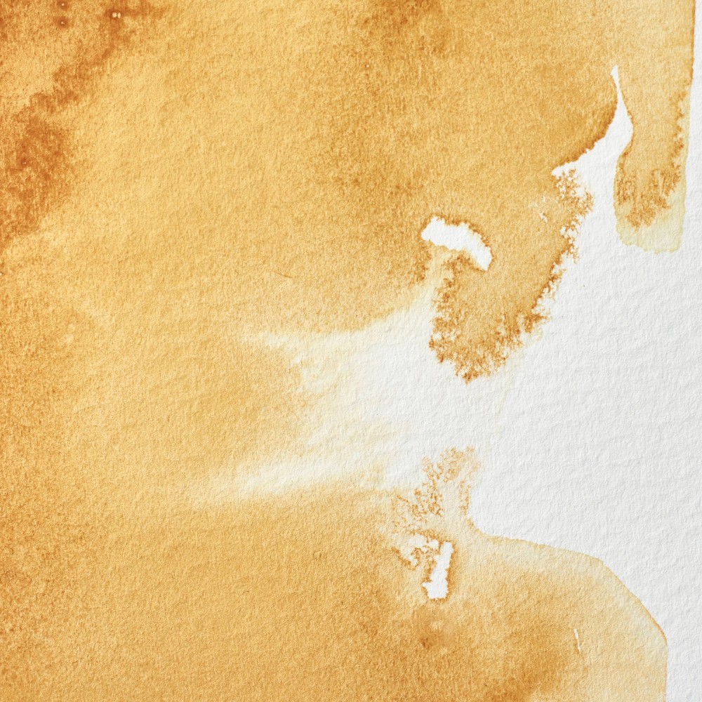 Professional Watercolor half-pan - Winsor & Newton - Raw Sienna