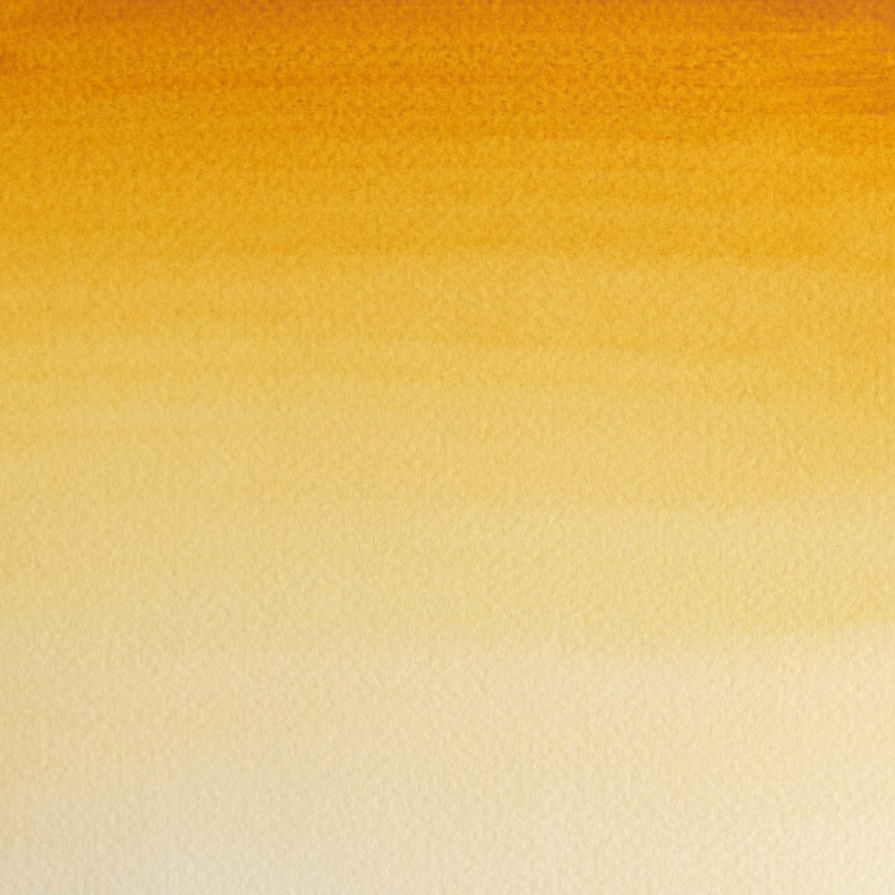 Professional Watercolor half-pan - Winsor & Newton - Raw Sienna