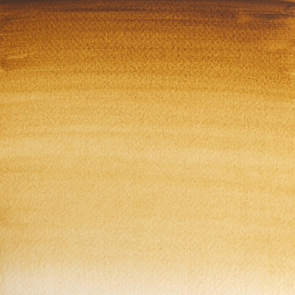 Farba akwarelowa Professional w półkostce - Winsor & Newton - Raw Umber