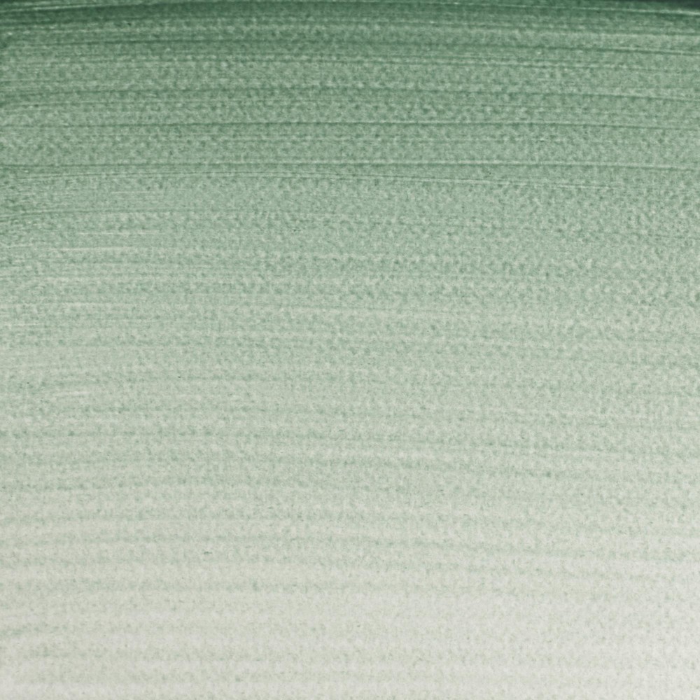 Farba akwarelowa Professional w półkostce - Winsor & Newton - Terre Verte