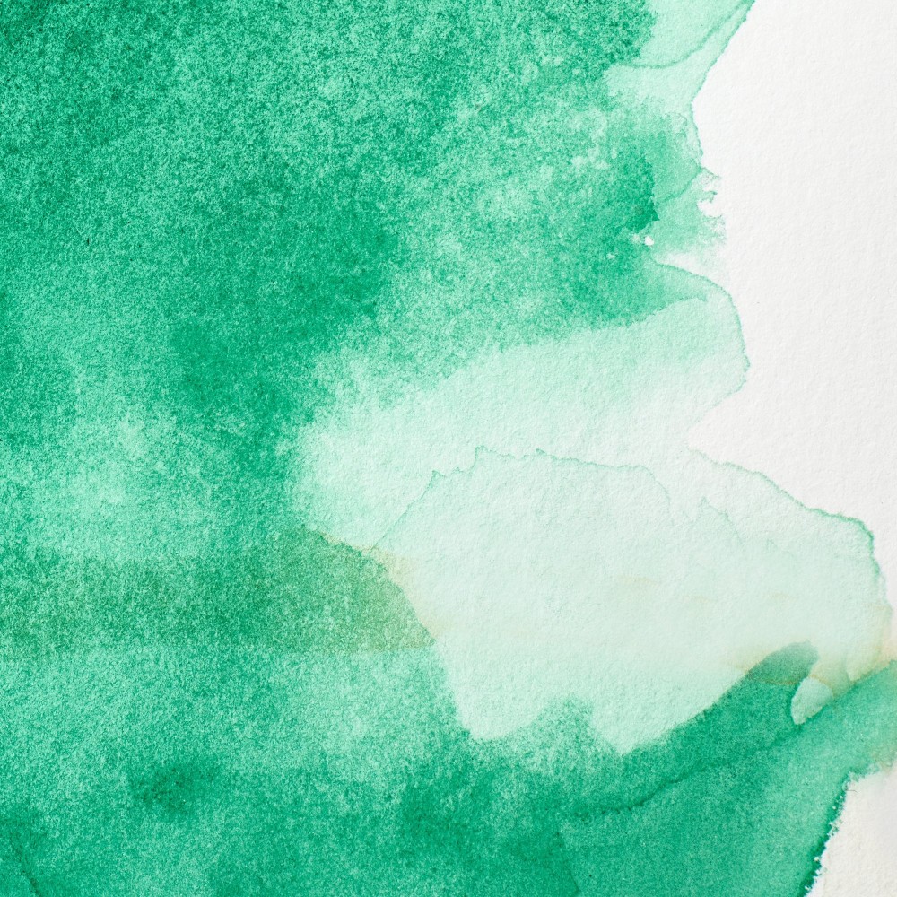 Farba akwarelowa Professional w półkostce - Winsor & Newton - Winsor Green (Yellow Shade)