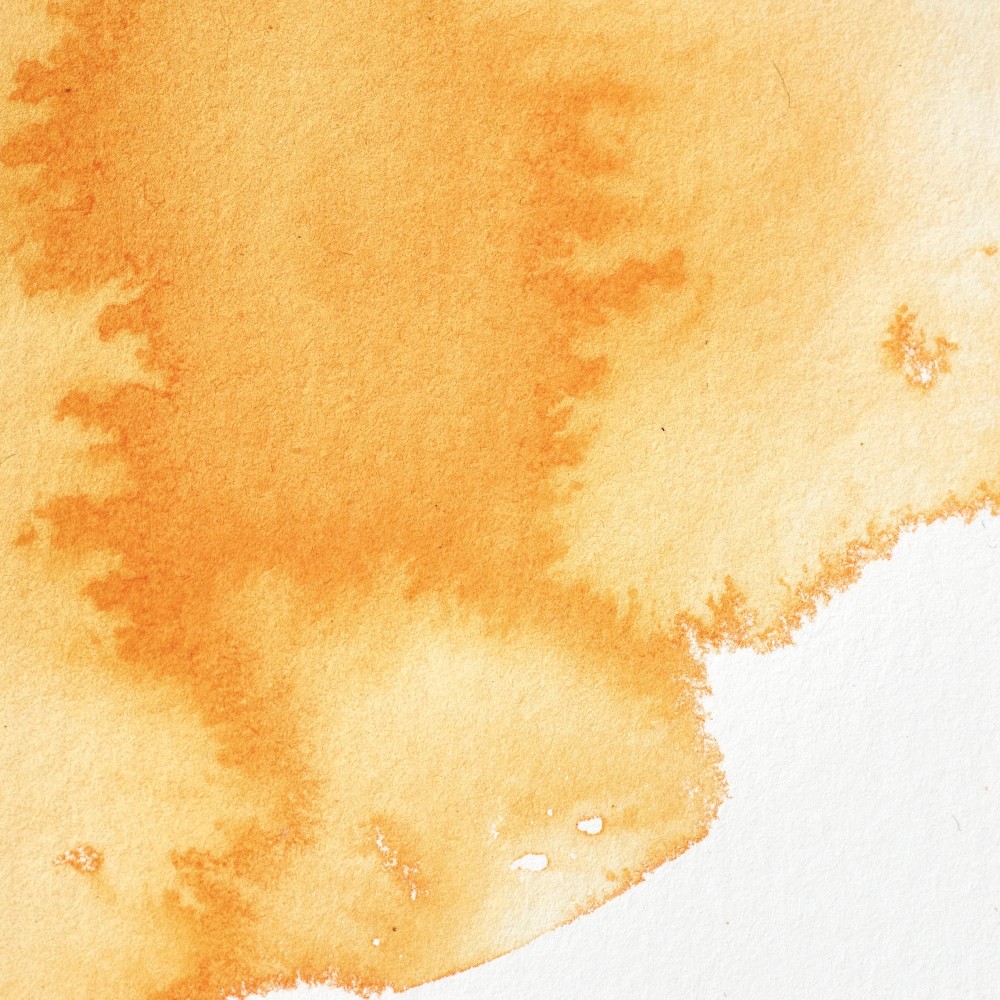 Professional Watercolor half-pan - Winsor & Newton - Winsor Orange