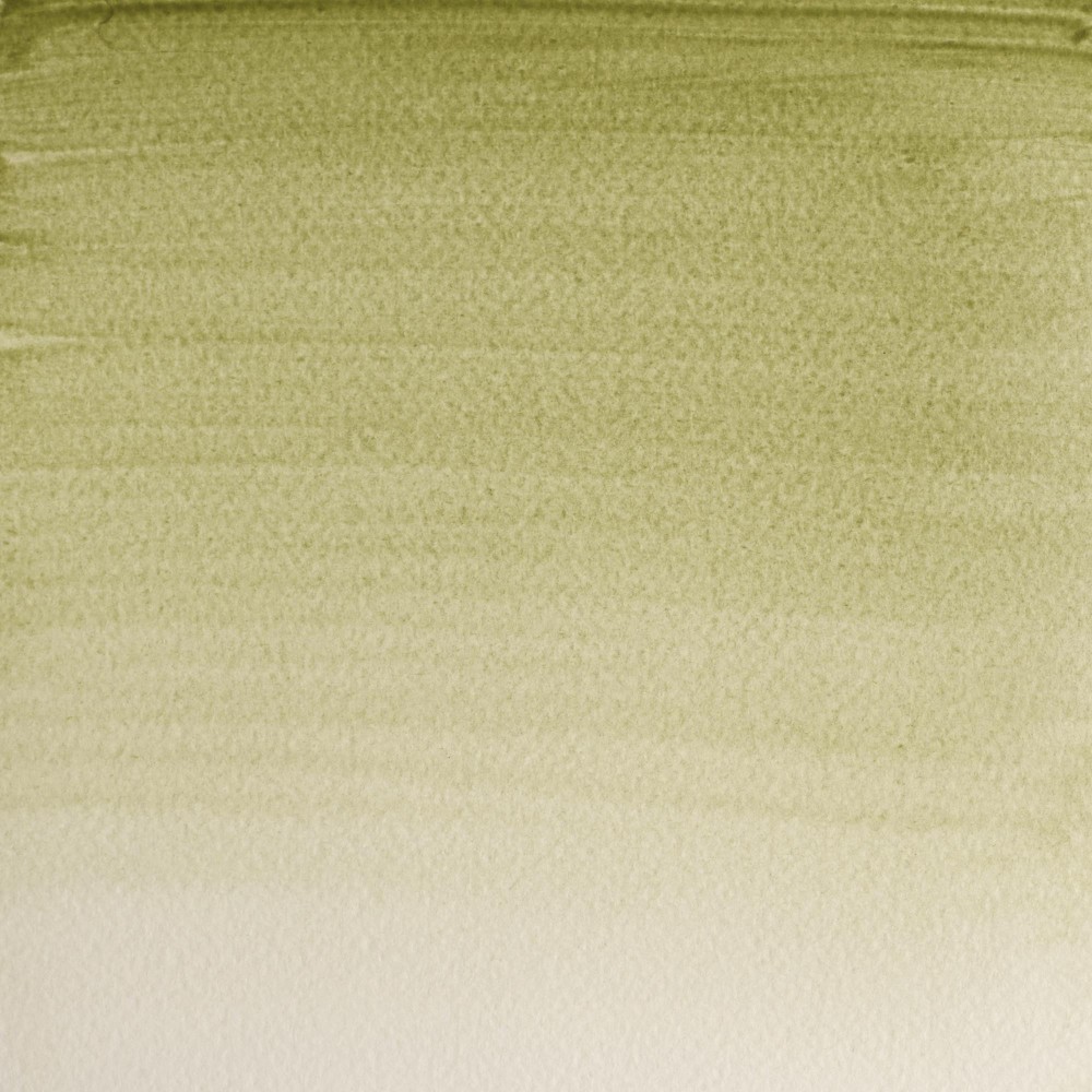 Farba akwarelowa Professional w półkostce - Winsor & Newton - Terre Verte (Yellow Shade)