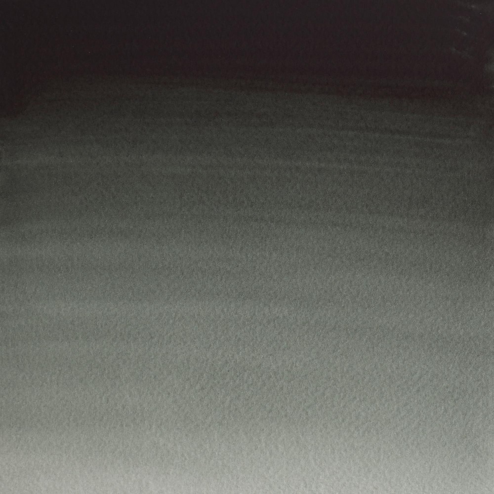 Professional Watercolor half-pan - Winsor & Newton - Perylene Green