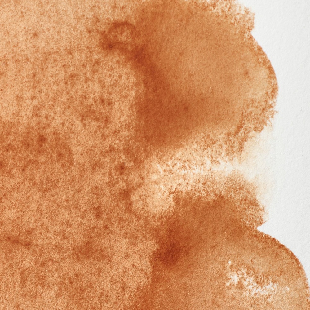 Farba akwarelowa Professional w półkostce - Winsor & Newton - Brown Ochre