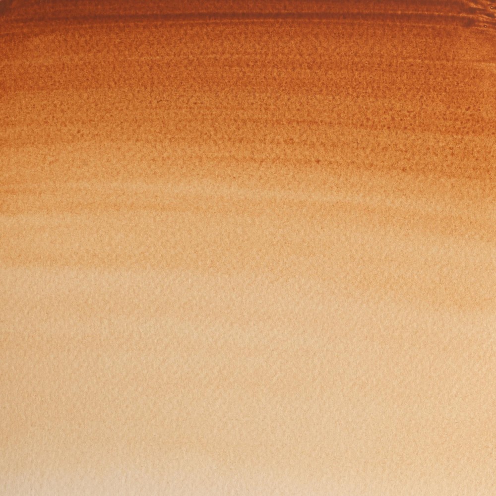 Professional Watercolor half-pan - Winsor & Newton - Brown Ochre
