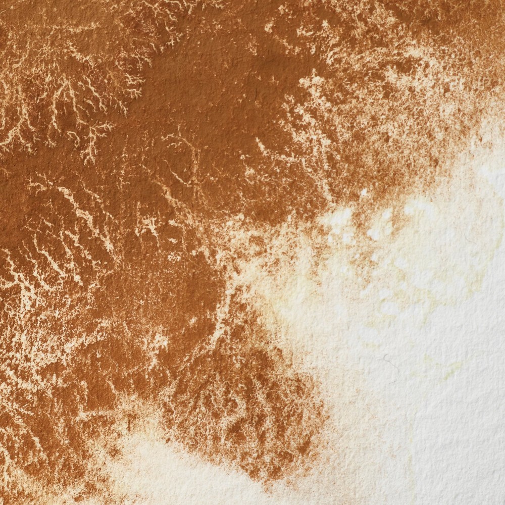 Professional Watercolor half-pan - Winsor & Newton - Magnesium Brown