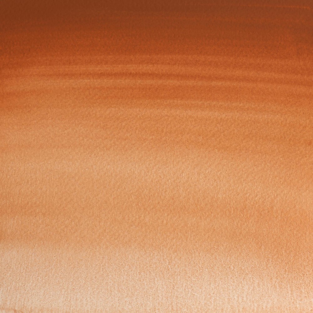 Professional Watercolor half-pan - Winsor & Newton - Magnesium Brown