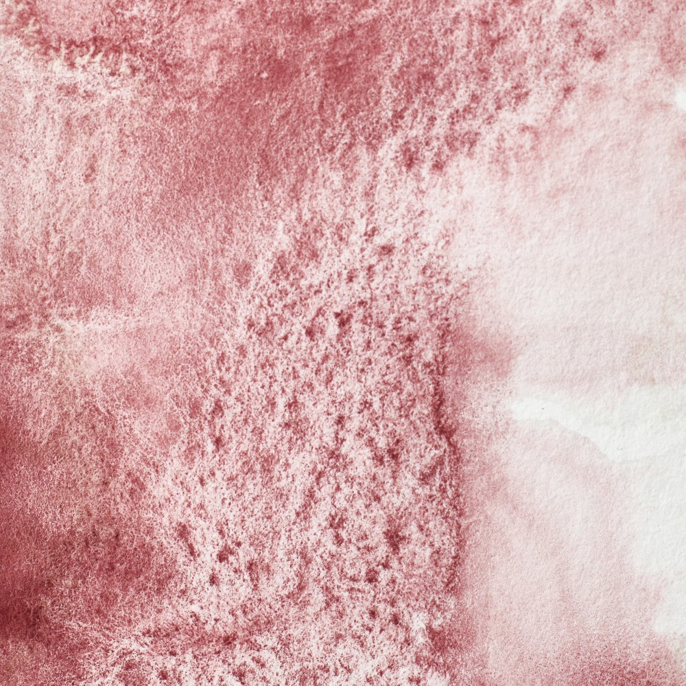 Professional Watercolor half-pan - Winsor & Newton - Potter's Pink