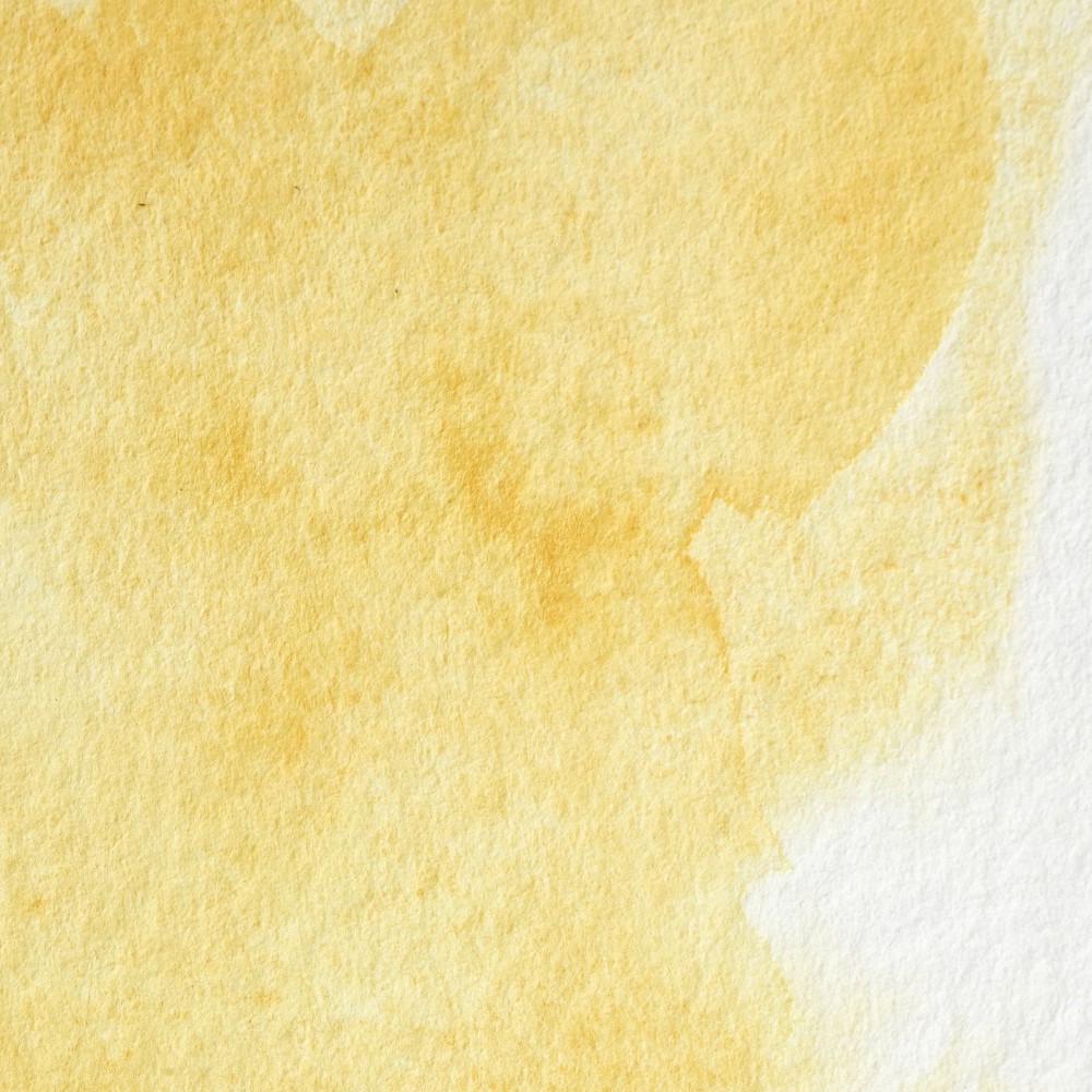 Professional Watercolor half-pan - Winsor & Newton - Turner's Yellow