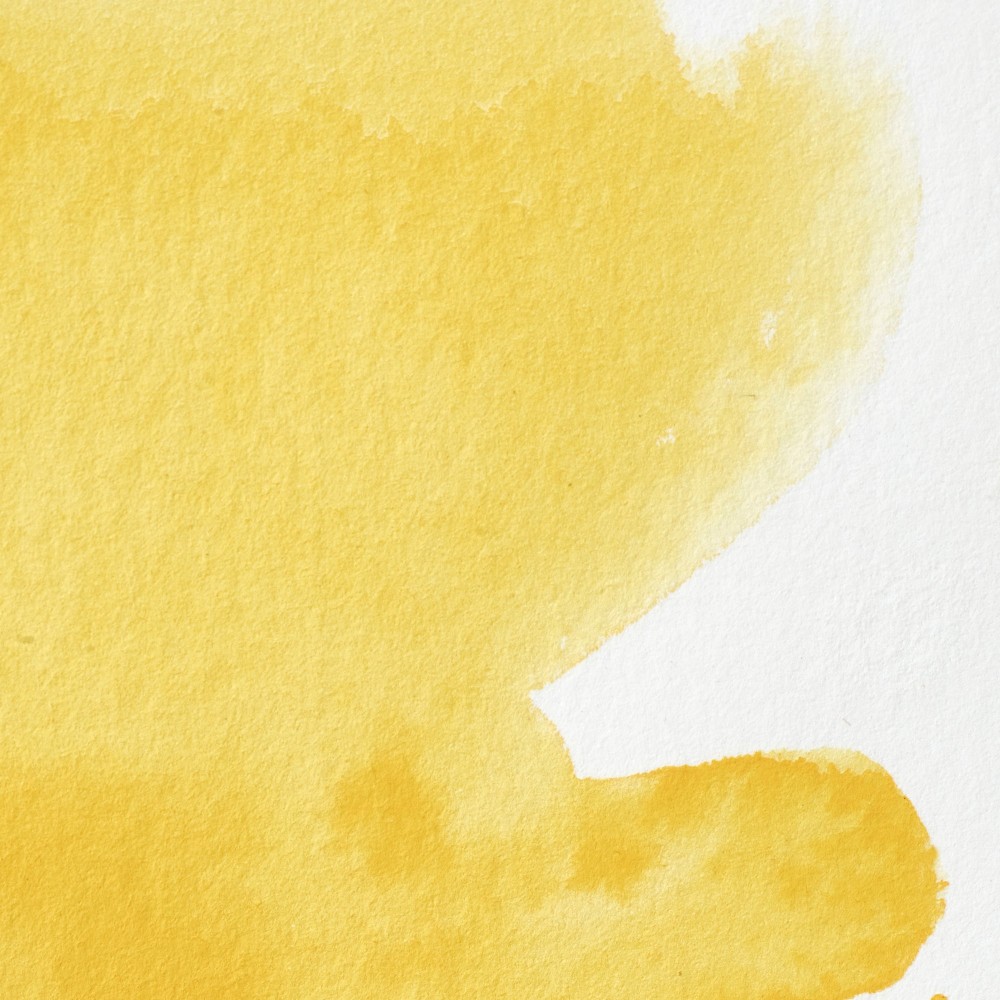 Professional Watercolor half-pan - Winsor & Newton - Cadmium Free Lemon Pale