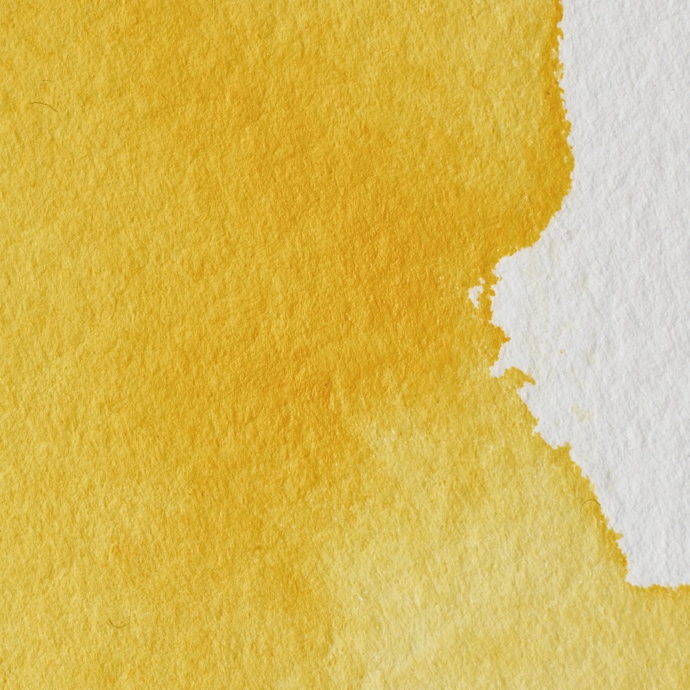 Professional Watercolor half-pan - Winsor & Newton - Cadmium Free Yellow