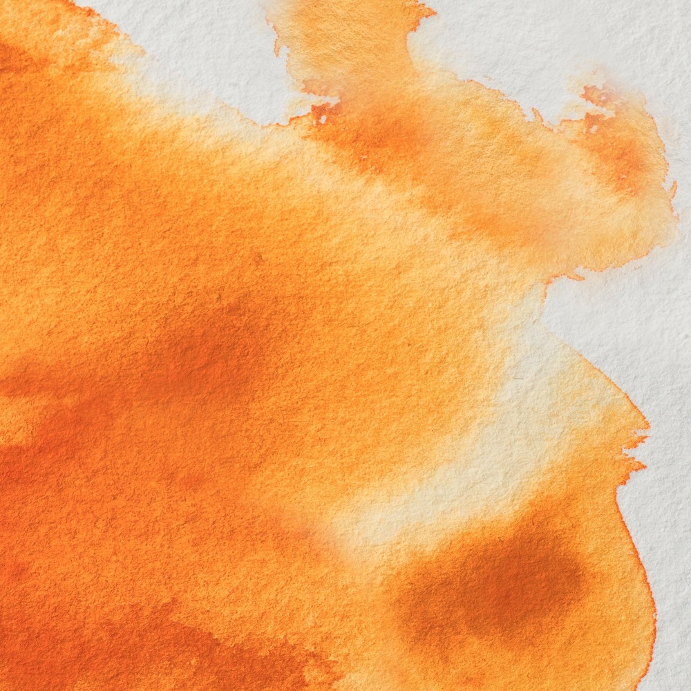 Farba akwarelowa Professional w półkostce - Winsor & Newton - Cadmium Free Orange