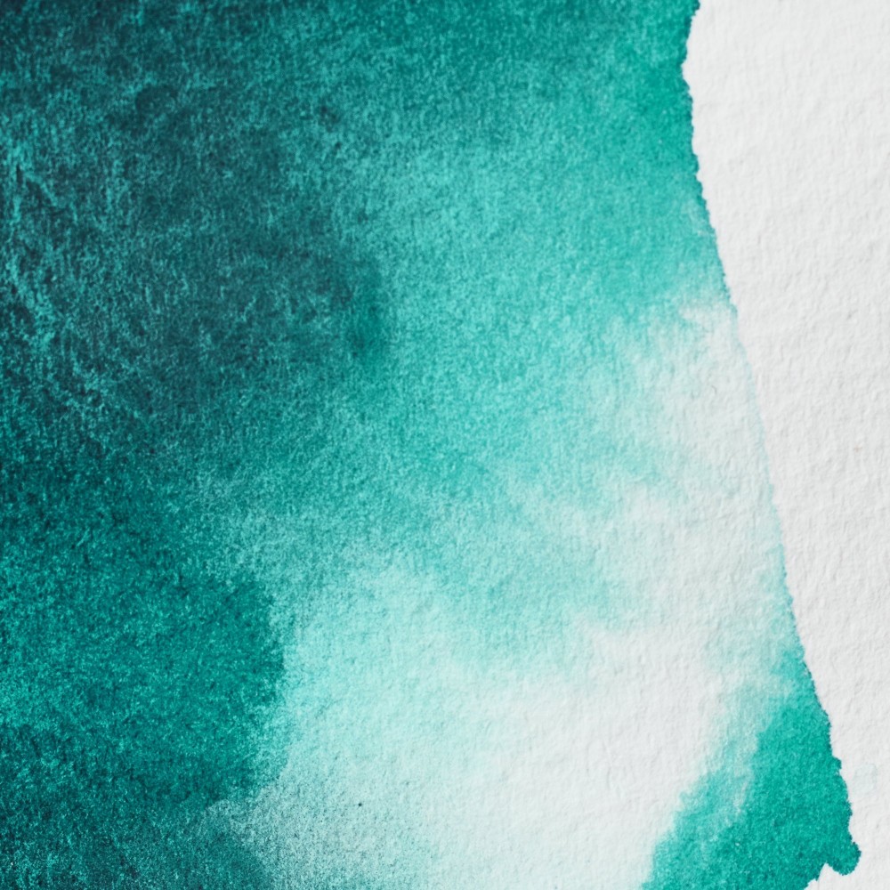 Professional Watercolor half-pan - Winsor & Newton - Aqua Green