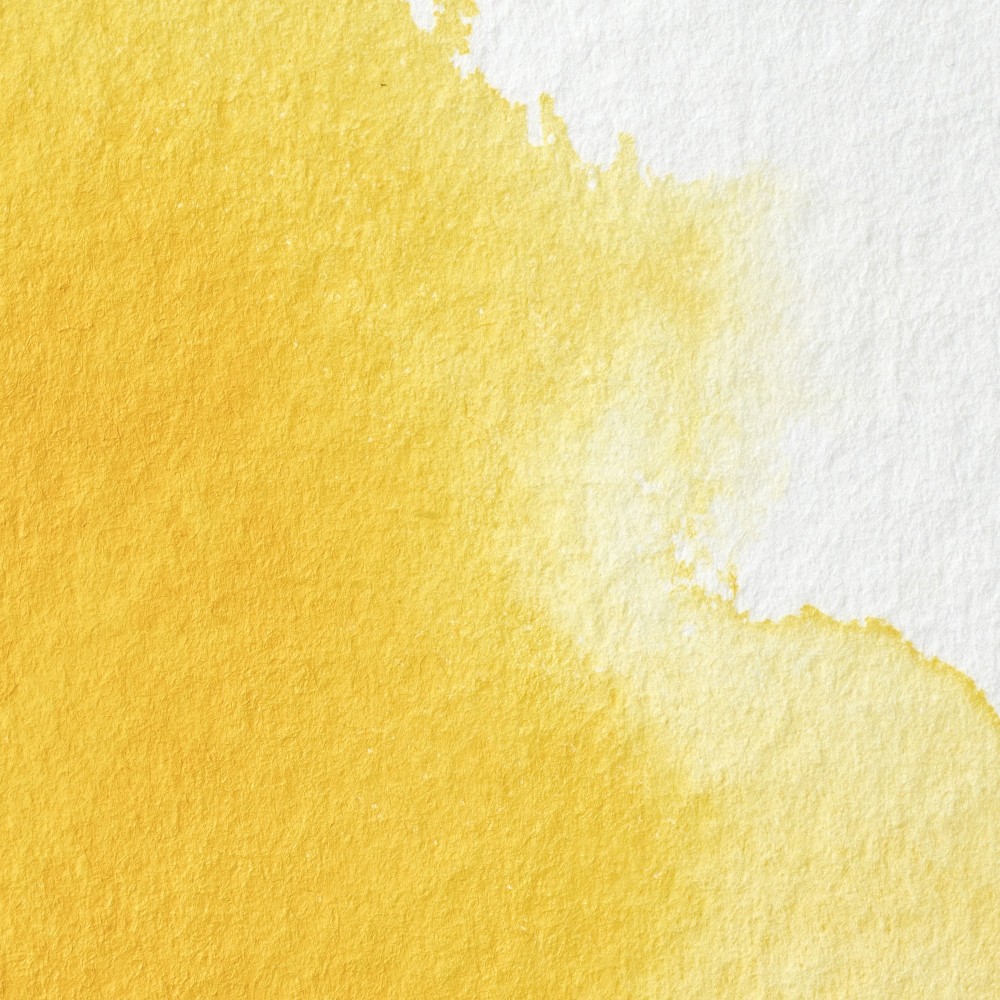 Farba akwarelowa Professional w półkostce - Winsor & Newton - Cadmium Yellow Pale