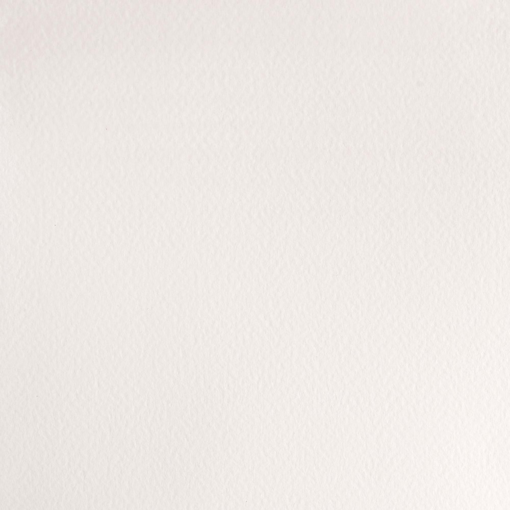 Professional Watercolor half-pan - Winsor & Newton - Chinese White