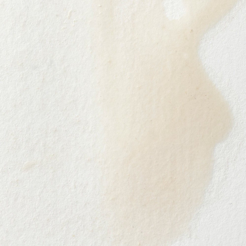 Farba akwarelowa Professional w półkostce - Winsor & Newton - China White